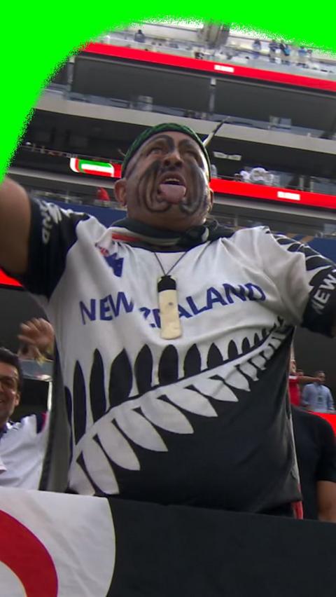 New Zealand fan