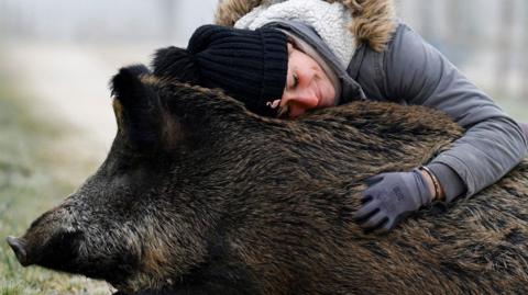 French horse breeder Elodie Cappe hugs  a wild boar she rescued as a piglet 