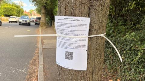 A printed A4 sheet of paper is tied to a tree. The tree is growing out of the pavement. In the background, another tree takes up space on the pavement.