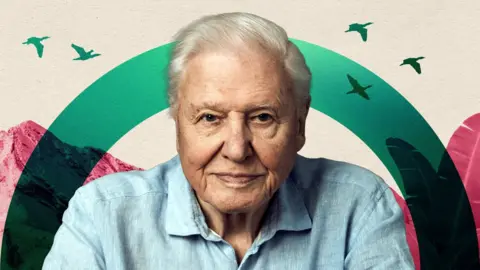 A designed image of Sir David Attenborough dressed on his signature blue shirt over a neutral background with wildlife motives in green and pink.