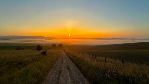 TUESDAY - the orange sun beams over empty fields in Lambourn