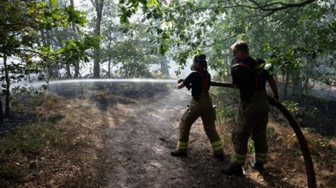 Two firefighters aim a hose jet at smoldering woodland