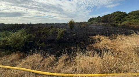 Wildfire in Gosport - yellow hose on the ground with large area of scorched ground.