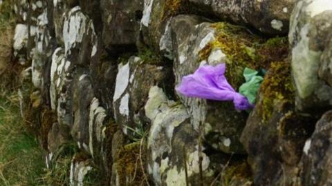 A close up image of a section of Hadrian's Wall with its destinctive square blocks. A knotted purple and green plastic poo bag has been pushed into a crack in the wall 