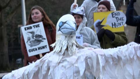 Luchd-iomairt a' togail fianais an aghaidh sealg a' ghuga