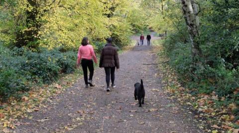Dog walkers walk through trees with autumn leaves scattered across the path.