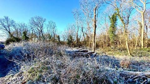 A countryside shot with a heavy frost on trees, pathways and plants 