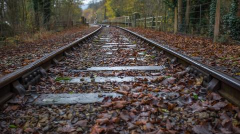 A railway line covered in wet leaves during autumn, with a set of signals in the background.