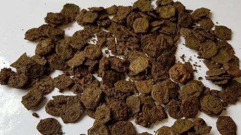 Hillingdon Hoard Potins after discovery