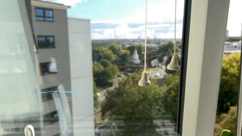 View from a flat window. The windows of a block of flats are visible and some trees are in the distance. 