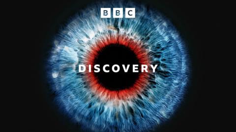 Discovery