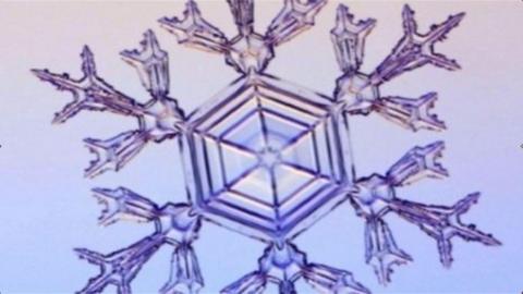 A close up image of an individual snowflake