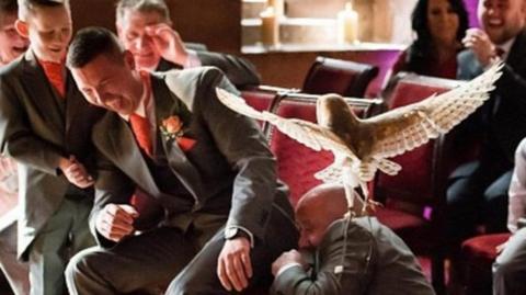 Owl attacks a best man at the wedding of Jeni Arrowsmith and Mark Wood