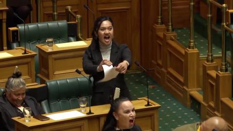 MPs disrupt parliament with haka in protest of indigenous treaty bill