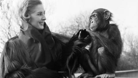 Model and monkey