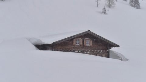 Snow in Austria