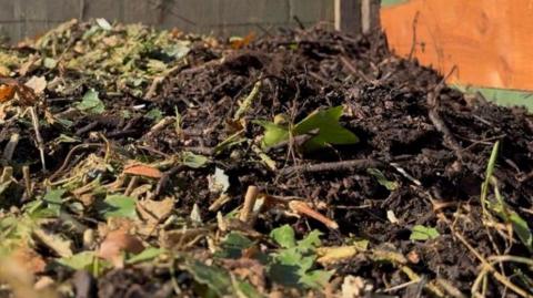 A pile of compost and garden waste is piled up in a container. There are green leaves as well as brown mulch and twigs.