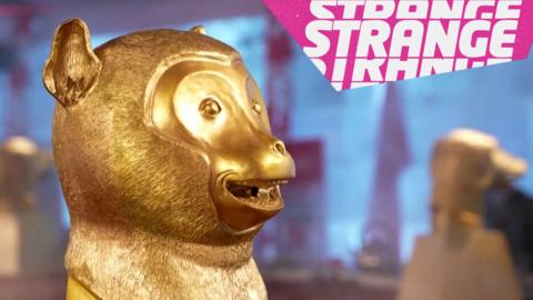 a gold monkey and the strange logo