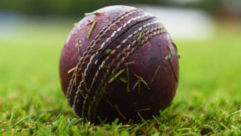 A cricket ball