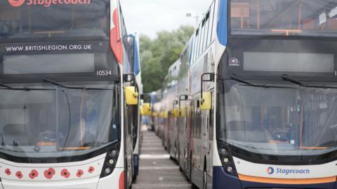 Two rows of buses lined up facing the camera at a bus depot