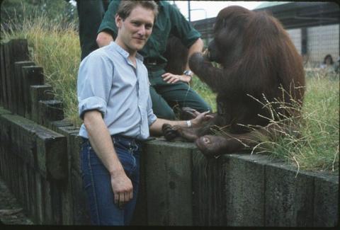 man with blue jeans and shirt posing with an orangutan who is sitting on a fence