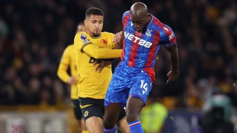 Wolves v Crystal Palace