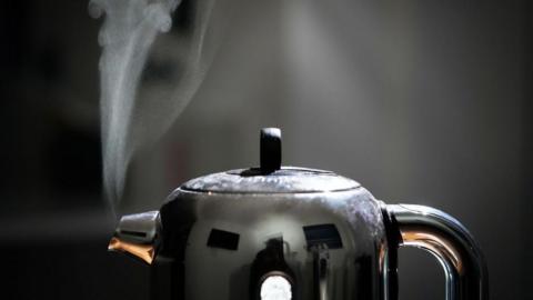 A domestic electric kettle emits steam.