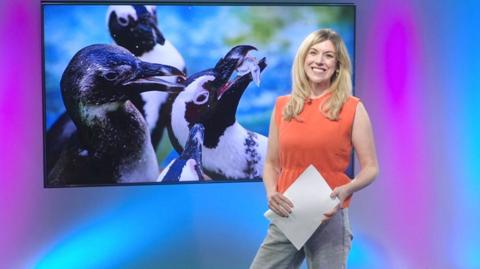 Jenny  in the Newsround studio