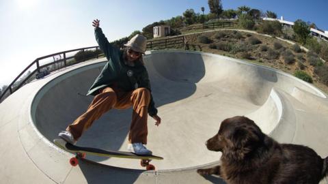 Tony Alva skateboarding. It is a wide-angle shot of the skatepark and there is a dog watching the skateboarder from the top. 