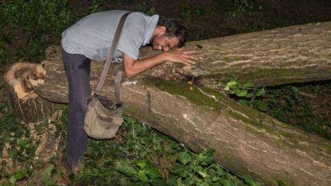 Activists cry after trees cutting at the main gate of Metro car shed , Picnic point, Aarey colony , Goregaon east, on October 5, 2019 in Mumbai.