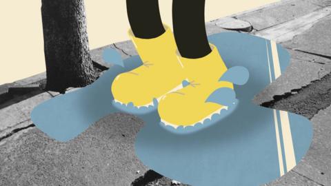 Bòtannan ann am pollag