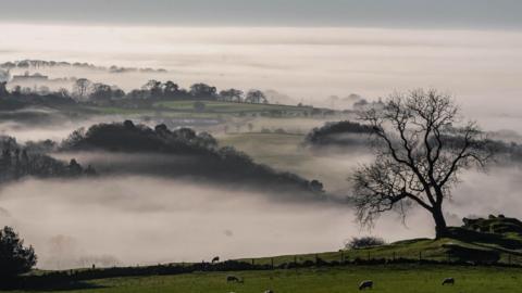 Undulating fields stretching into the distance viewed from above. Mist or fog hugs the valley bottom.