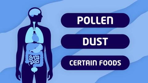 figure of a person with pollen dust and certain foods.