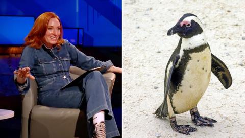 Composite image of Hannah Fry looking surprised, and a penguin