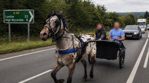 A white and black pony trotting along the A40 pulling a wheeled cart carrying two people. Their faces are blurred.