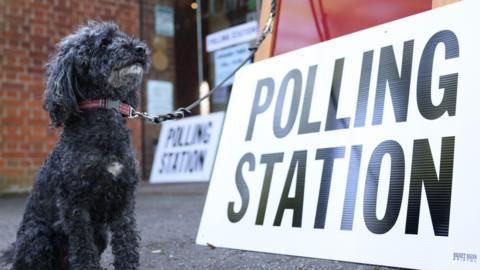 A black terrier sat next to a big white sign with black letters in capitals saying polling station. They are outside a building like a community centre.