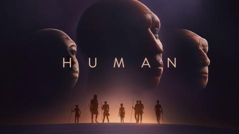 Humans