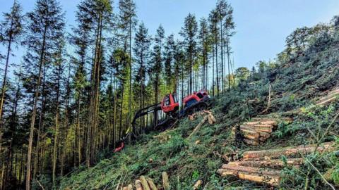 A large digger on a hilly slope with large trees behind it. There are tree branches and piles of logs on the hill