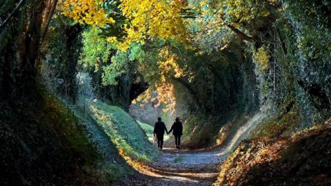 Two people walk down a wooded country lane holding hands 