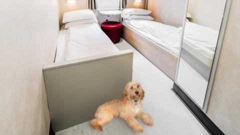 A dog laying in one of the pet cabins