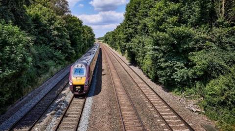 An intercity train moving approaching the viewer on one of four tracks bordered by trees, seen from slightly above