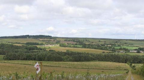 Rolling hills filled with green fields and trees. Small groups of houses can be seen hidden amongst the trees in the distance. A windmill is just visible on the horizon.