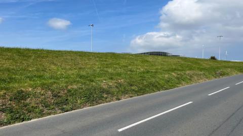 A grassy hill.