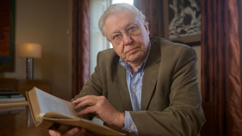 Sir David Attenborough reading a book