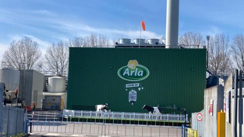 A green factory building with Arla's logo on it. Some plastic cows stand in front of it and behind a barrier which appears to block access to vehicles.