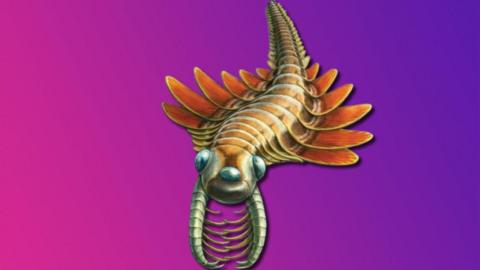 An artist's impression of what the predator might have looked like.