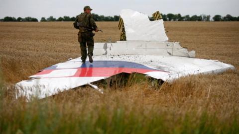 An armed pro-Russian separatist stands on part of the wreckage of the Malaysia Airlines Boeing 777 plane on 17 July 2014