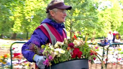 Volunteer collects flowers