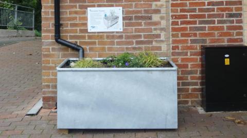 A galvanised grey metal planter sits outside the brick wall of a toilet block. It's about the size of a small bath. Feeding into it from the guttering, is a standard plastic downpipe. The planter is filled with plants. 