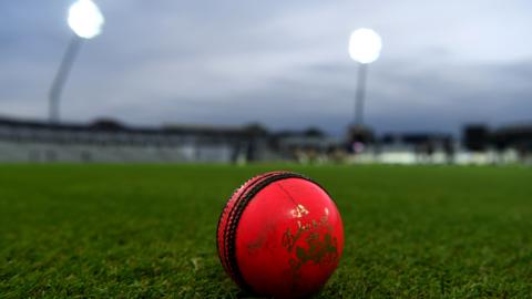 Image of a pink ball at the boundary edge, beneath floodlights